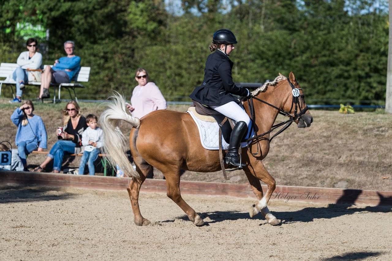 Bild 87 - Pony Akademie Turnier